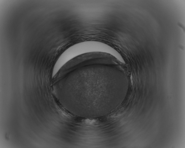 X0000091690570200709131609