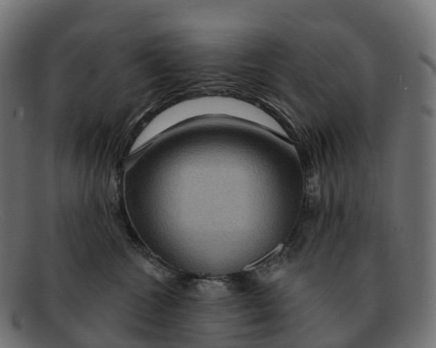 X0000091690572200709131609