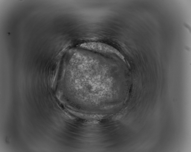 X0000091690576200709131609