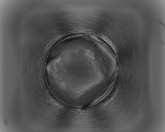 X0000091690577200709131609