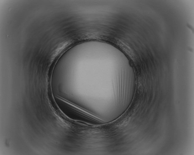 X0000091690578200709131609