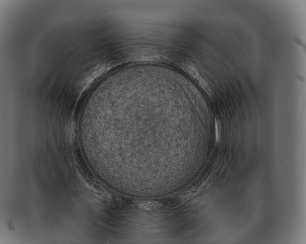 X0000091690579200709131609