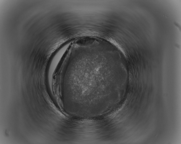 X0000091690581200709131609