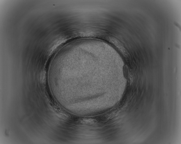 X0000091690583200709131608