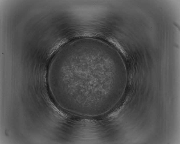 X0000091690585200709131608