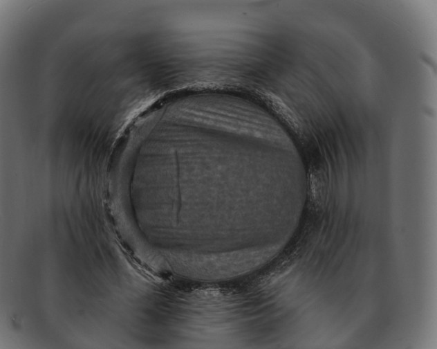 X0000091690588200709131608