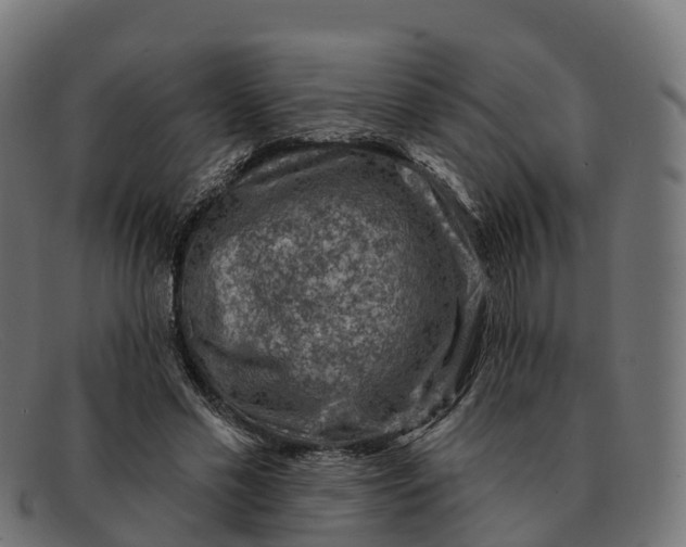 X0000091690589200709131608