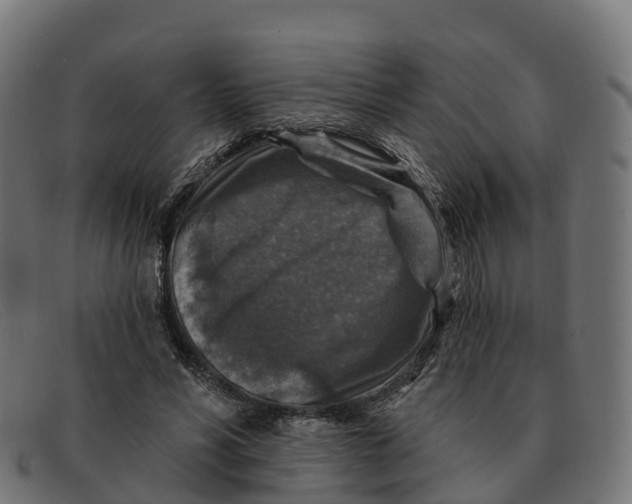 X0000091690590200709131608