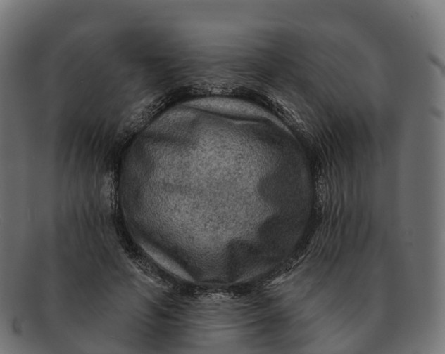 X0000091690594200709131608