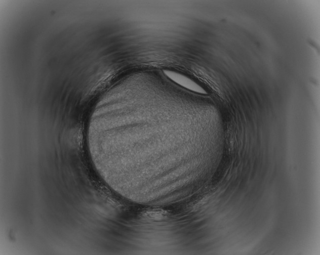 X0000091690595200709131608