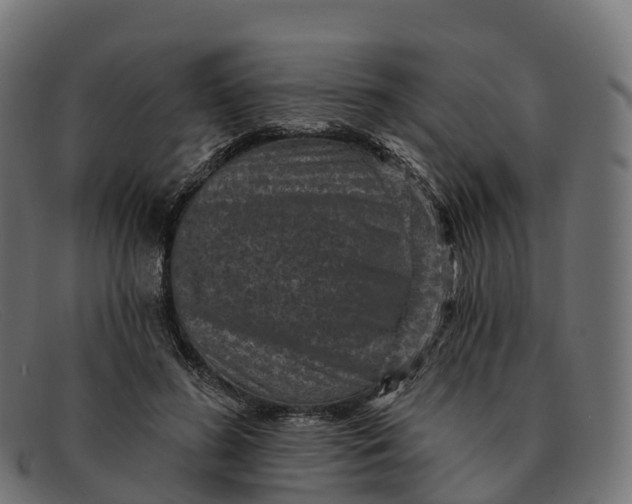 X0000091690596200709131608