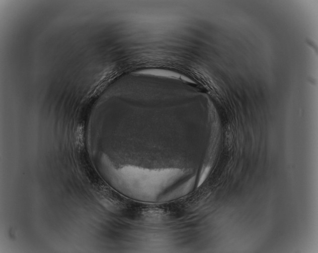 X0000091690598200709131608