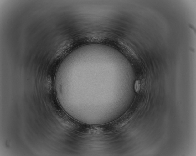 X0000091690599200709131608