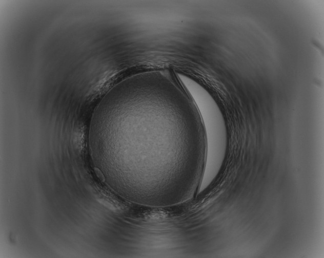 X0000091690600200709131608