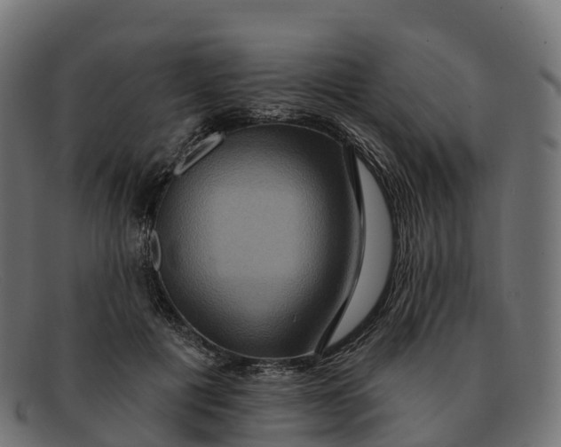 X0000091690601200709131608