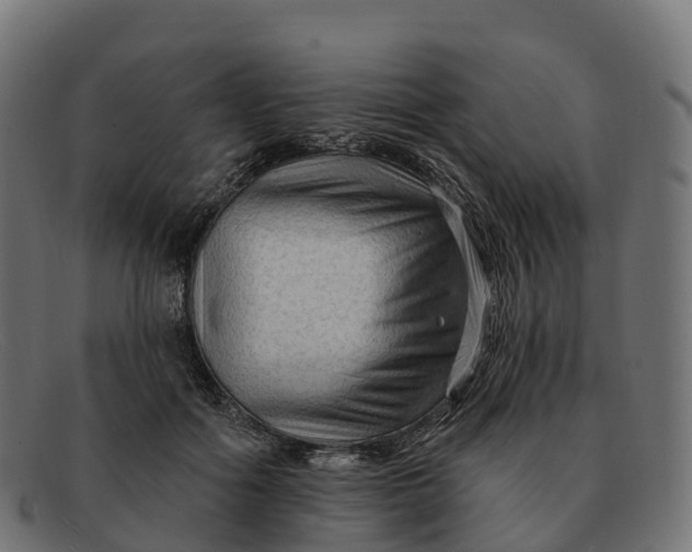 X0000091690602200709131608