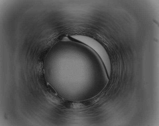 X0000091690605200709131608