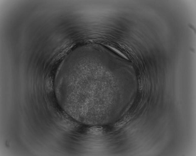 X0000091690606200709131608