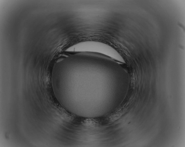 X0000091690608200709131608