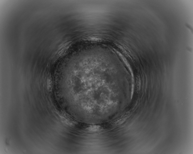 X0000091690609200709131608