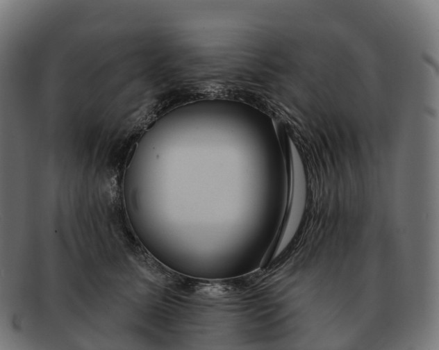 X0000091690611200709131608