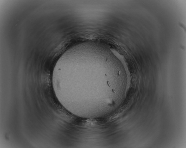 X0000091690612200709131608