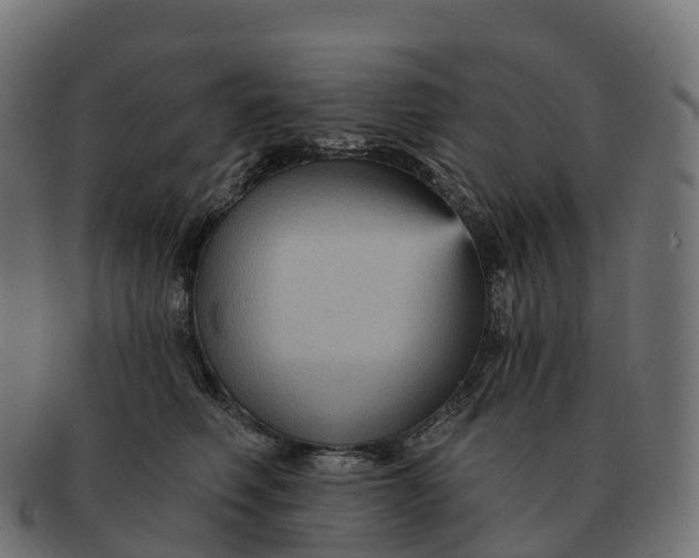 X0000091690614200709131608