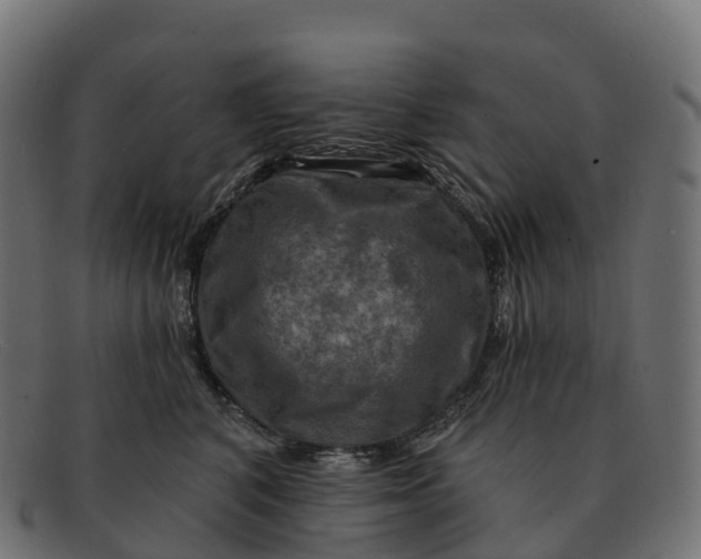 X0000091690616200709131608