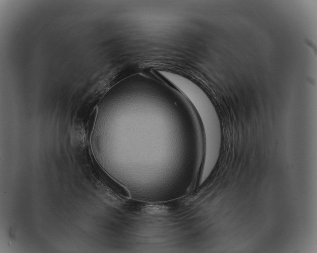 X0000091690617200709131608