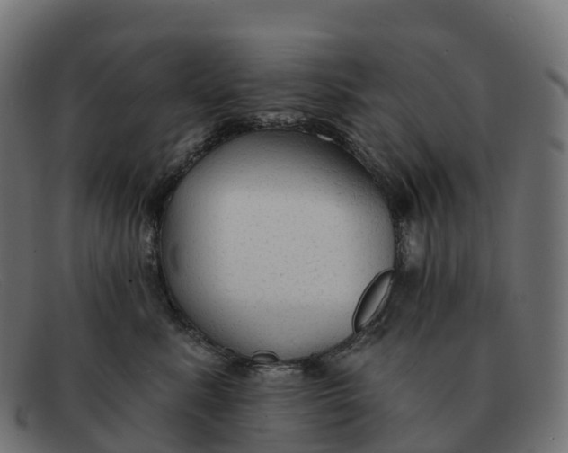 X0000091690619200709131608