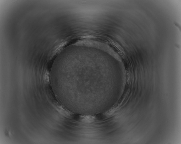 X0000091690621200709131608