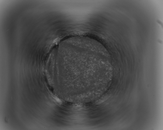 X0000091690624200709131608