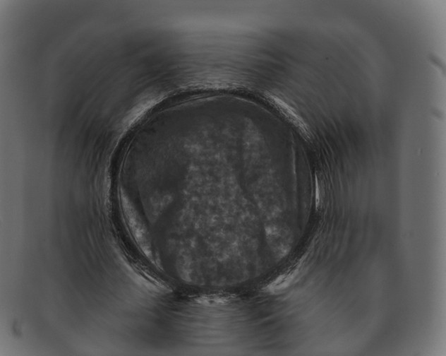 X0000091690627200709131607