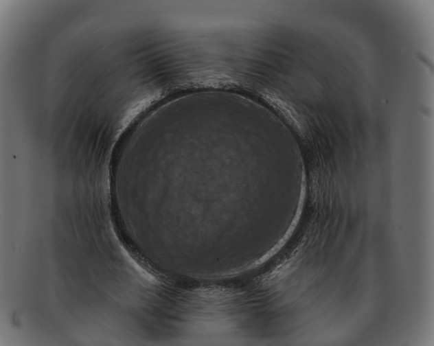 X0000091690630200709131607