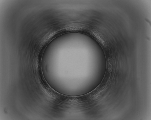 X0000091690631200709131608