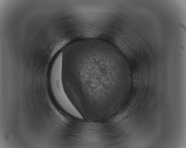 X0000091690634200709131608