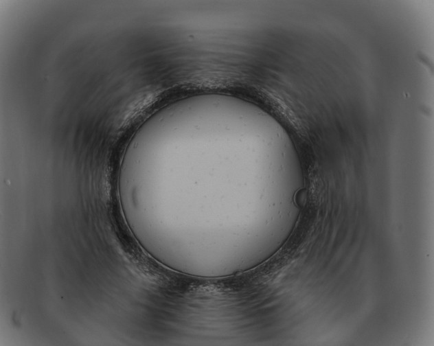 X0000091690635200709131608