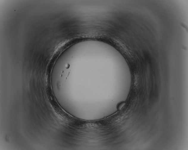 X0000091690636200709131608