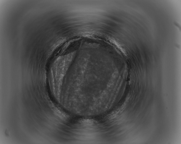 X0000091690637200709131608