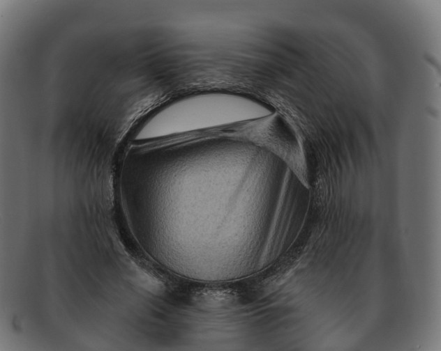 X0000091690638200709131608