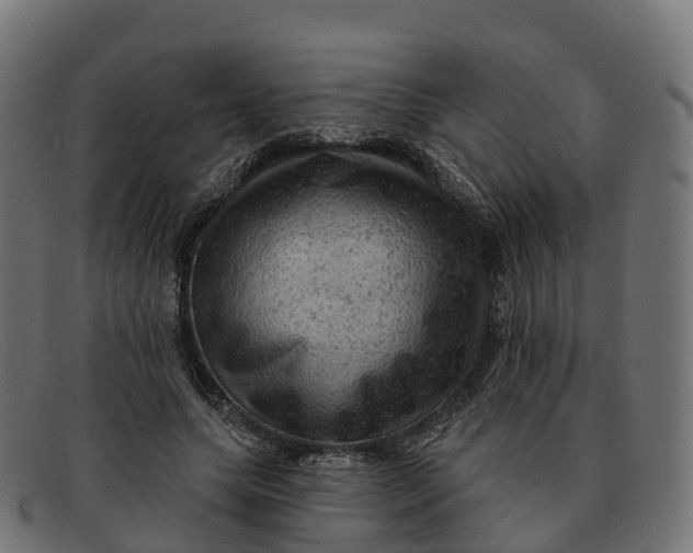 X0000091690639200709131608