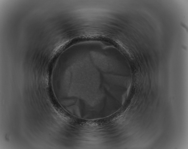 X0000091690640200709131608