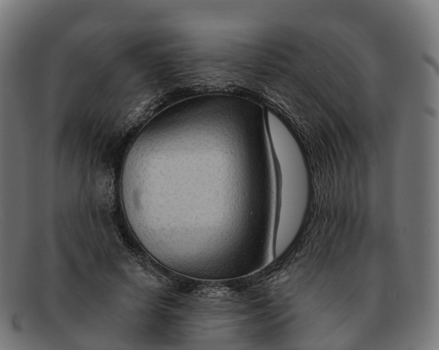 X0000091690642200709131608