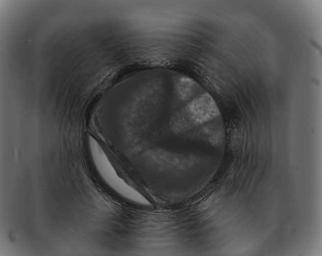 X0000091690643200709131608