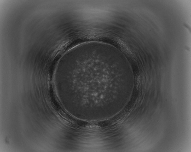 X0000091690644200709131608