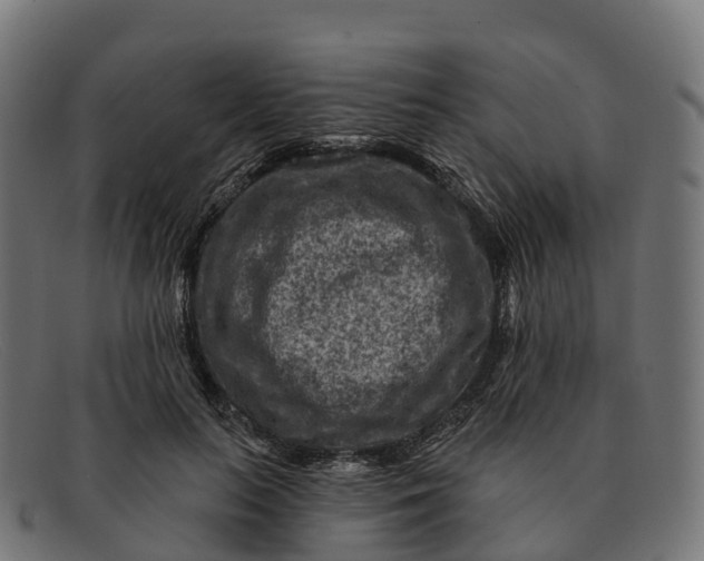 X0000091690647200709131608