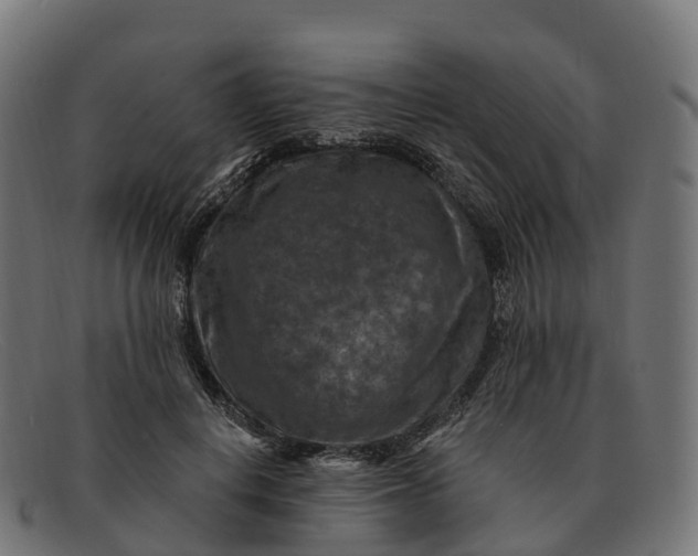 X0000091690648200709131608