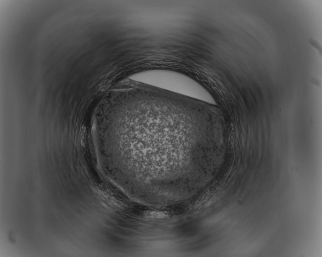 X0000091690649200709131608