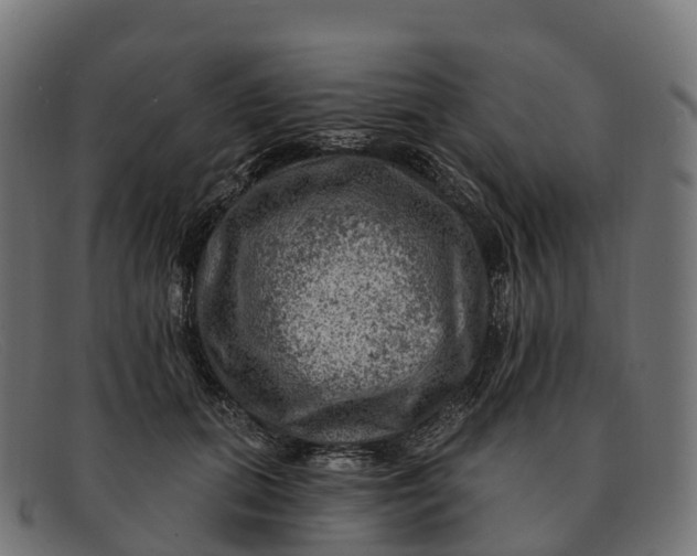 X0000091690655200709131608