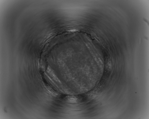 X0000091690658200709131608